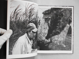 Wandering dog | Mai Nakama | GRAF Publishers 2024