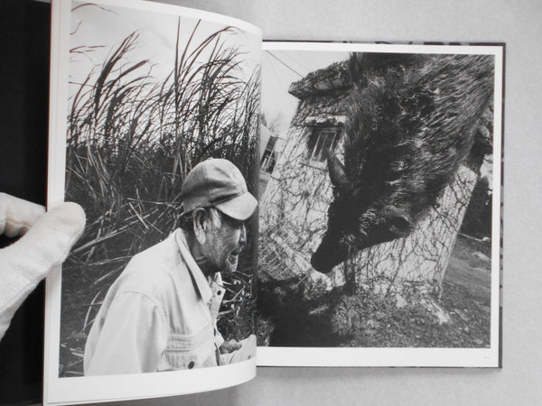 Wandering dog | Mai Nakama | GRAF Publishers 2024