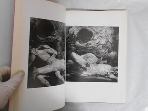 The Best Nudes vol. 8 | Caroline Arber, Daniel Barreau, Jacques Alexandre | Haga Shoten 1981