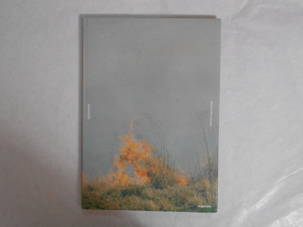 Ametsuchi | Rinko Kawauchi | Seigensha 2013 (SIGNED)