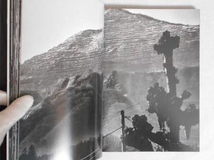 Record 2 | Daido Moriyama | Thames & Hudson 2024
