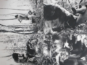 The third Venus | Yasuhiro Yoshioka | Sogo Tosho 1971