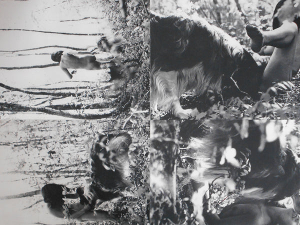 The third Venus | Yasuhiro Yoshioka | Sogo Tosho 1971