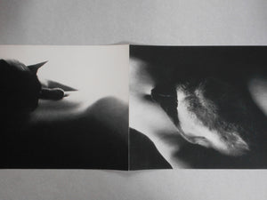 The third Venus | Yasuhiro Yoshioka | Sogo Tosho 1971
