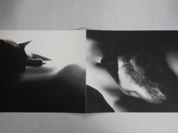 The third Venus | Yasuhiro Yoshioka | Sogo Tosho 1971