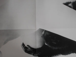 The third Venus | Yasuhiro Yoshioka | Sogo Tosho 1971