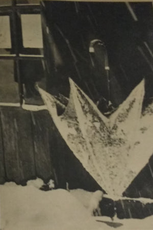 Ars Photographic Annual 1937 | AA.VV. | ARS PHOTOGRAPHICA 1937