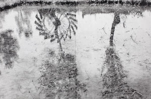 Tsugaru (Reprint) | Ichiro Kojima | Izu Photo Museum 2014