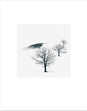 Michael Kenna Hokkaido 2020 - Collotype portfolio | Michael Kenna | Benrido 2023