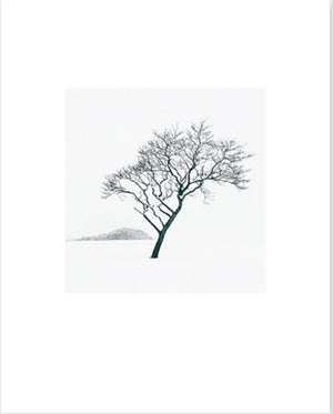 Michael Kenna Hokkaido 2020 - Collotype portfolio | Michael Kenna | Benrido 2023