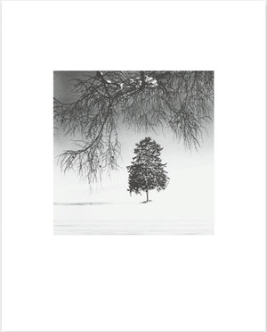 Michael Kenna Hokkaido 2020 - Collotype portfolio | Michael Kenna | Benrido 2023