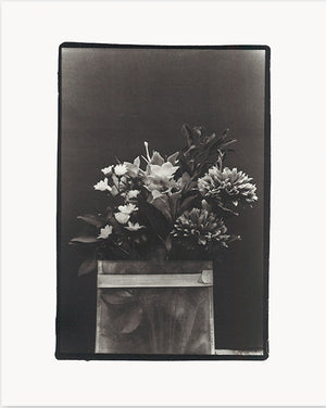 Sakiko Nomura Träumerei - Collotype Portfolio | Sakiko Nomura | Benrido 2024