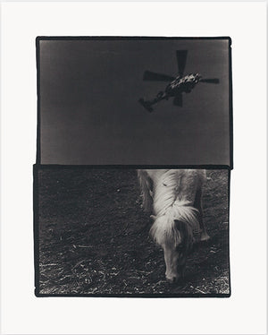 Sakiko Nomura Träumerei - Collotype Portfolio | Sakiko Nomura | Benrido 2024