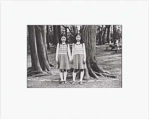 Shigeo Gocho Selected Works - Collotype Portfolio | Shigeo Gocho | Benrido 2022