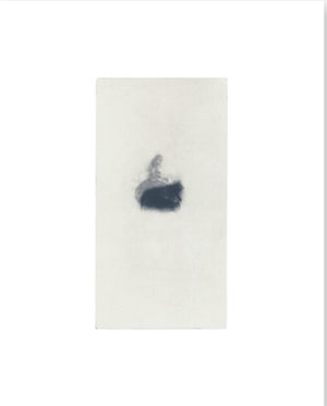 Miho Kajioka Memories of Future - Collotype Portfolio | Miho Kajioka | Benrido 2023