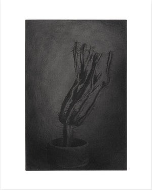 Chieko Shiraishi Shimakage - Collotype Portfolio | Chieko Shiraishi | Benrido 2023