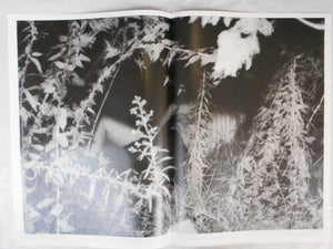 The Park, Koen 1971-1973 | Kohei Yoshiyuki | Osiris 2011 (SIGNED)