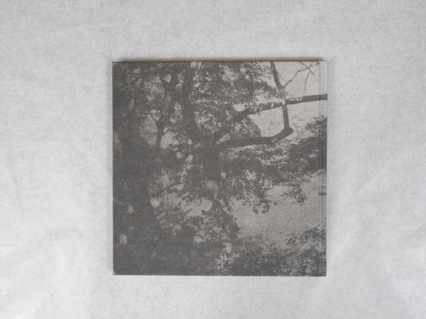 Shimakage | Chieko Shiraishi | Sokyusha 2019 reprint (SIGNED)