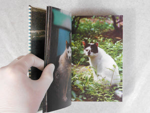 Tokyo a raies | Papa-chat Yokokawa (Tatsuyuki Yokokawa) | Self published 2015