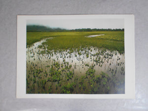 Chikuma Photo Gallery vol.1 | Hiroshi Hamaya | Chikuma Shobo 1971