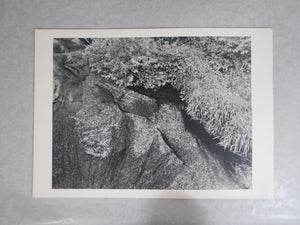 Chikuma Photo Gallery vol.1 | Hiroshi Hamaya | Chikuma Shobo 1971