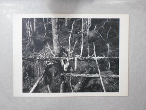 Chikuma Photo Gallery vol.1 | Hiroshi Hamaya | Chikuma Shobo 1971