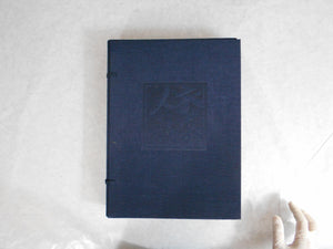 Ishou Ningyou, Hirata Goyo works antology - Shotaro Akiyama, Hirata Goyo - Sugimoto Shoten 1976