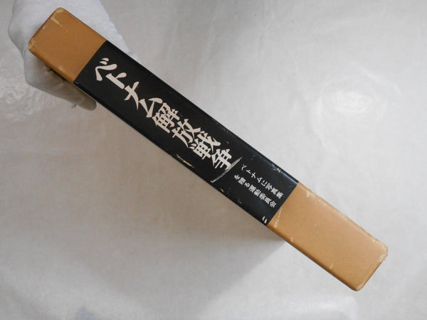 Chien Tranh Giai Phong Viet Nam | Bun'yo Ishikawa | 1977