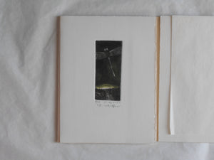 Ogonshoku no kazetachi, Golden winds | Kazumasa Ogikubo 1988 LIMITED 8/35