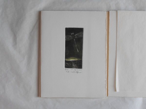 Ogonshoku no kazetachi, Golden winds | Kazumasa Ogikubo 1988 LIMITED 8/35