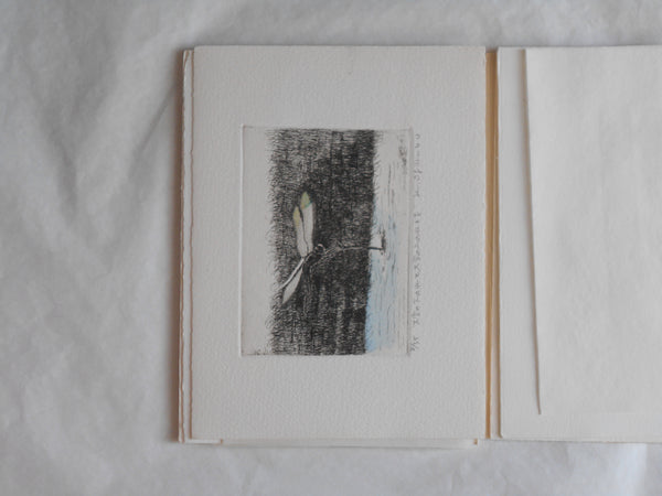 Ogonshoku no kazetachi, Golden winds | Kazumasa Ogikubo 1988 LIMITED 8/35