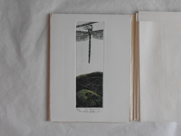 Ogonshoku no kazetachi, Golden winds | Kazumasa Ogikubo 1988 LIMITED 8/35