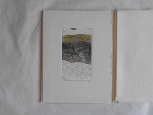 Ogonshoku no kazetachi, Golden winds | Kazumasa Ogikubo 1988 LIMITED 8/35
