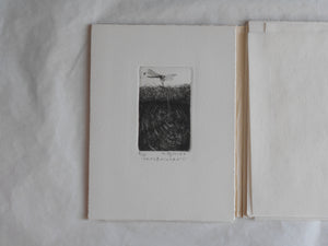 Ogonshoku no kazetachi, Golden winds | Kazumasa Ogikubo 1988 LIMITED 8/35