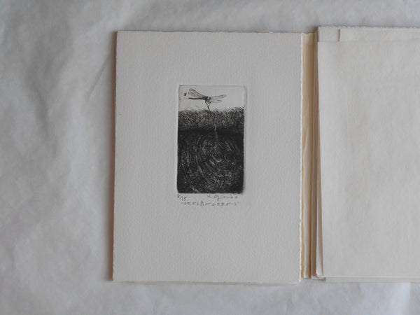 Ogonshoku no kazetachi, Golden winds | Kazumasa Ogikubo 1988 LIMITED 8/35