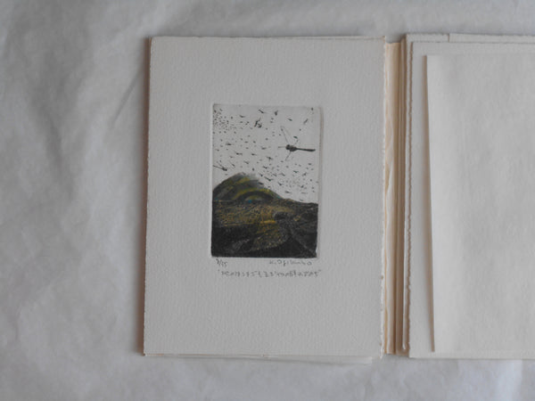 Ogonshoku no kazetachi, Golden winds | Kazumasa Ogikubo 1988 LIMITED 8/35