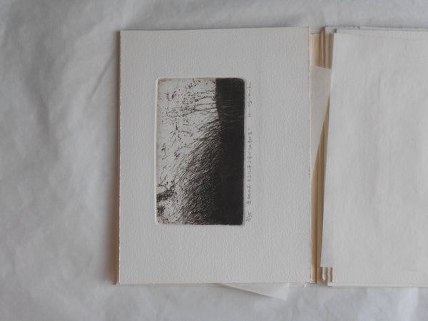 Ogonshoku no kazetachi, Golden winds | Kazumasa Ogikubo 1988 LIMITED 8/35