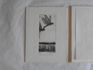 Ogonshoku no kazetachi, Golden winds | Kazumasa Ogikubo 1988 LIMITED 8/35