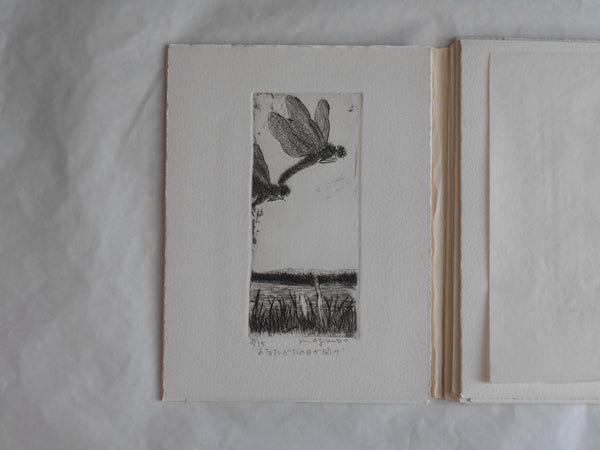 Ogonshoku no kazetachi, Golden winds | Kazumasa Ogikubo 1988 LIMITED 8/35