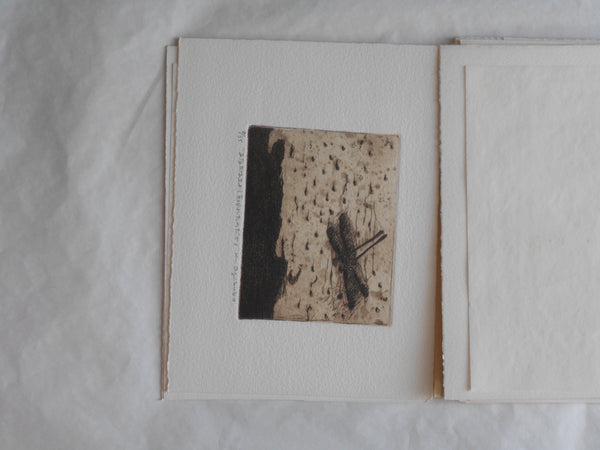 Ogonshoku no kazetachi, Golden winds | Kazumasa Ogikubo 1988 LIMITED 8/35