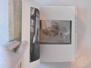 Saboten to shippo / Cactus ad tail | Chieko Shiraishi | Toseisha 2008 (INSCRIBED)