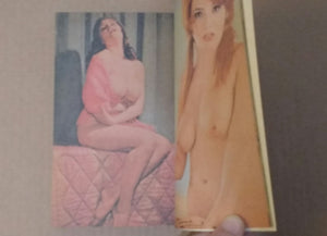 the NUDE:Paradise of Pin-Up vol1,2 | Makoto Ohrui (editor) | Fiction inc, 1984-1985