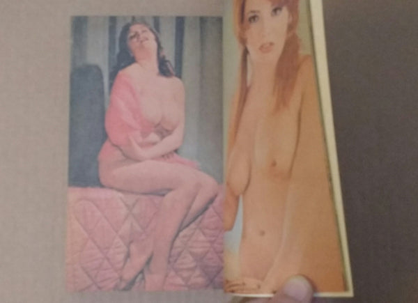 the NUDE:Paradise of Pin-Up vol1,2 | Makoto Ohrui (editor) | Fiction inc, 1984-1985