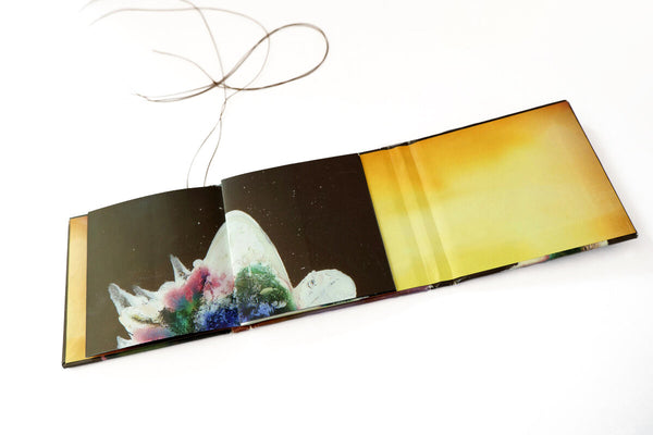 A star in the sea | Laura El-Tantawy | Self Published 2019