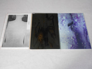 Daisuke Yokota's Teikai trilogy