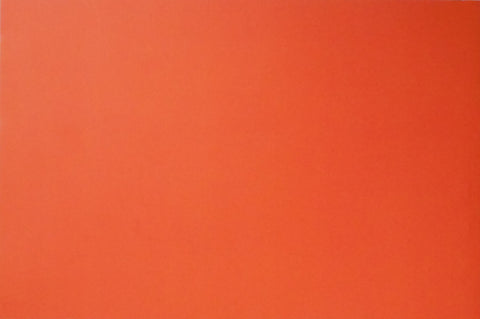 Orange 'Zine | Tadashi Onishi, Hiroyuki Nakada | Self Published 2018 [SIGNED]