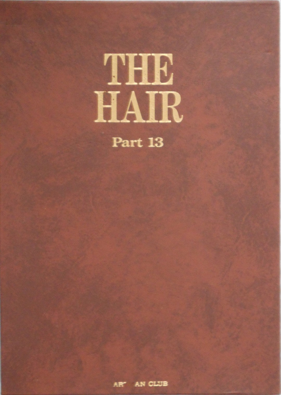 The Hair part 13 (GS version) | AA.VV. | Artman Club 1993