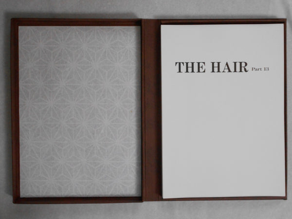 The Hair part 13 (GS version) | AA.VV. | Artman Club 1993