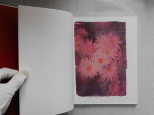 Swaying flowers | Ayaka Endo | Roshin books 2023 [SIGNED]