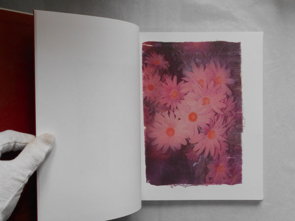 Swaying flowers | Ayaka Endo | Roshin books 2023 [SIGNED]
